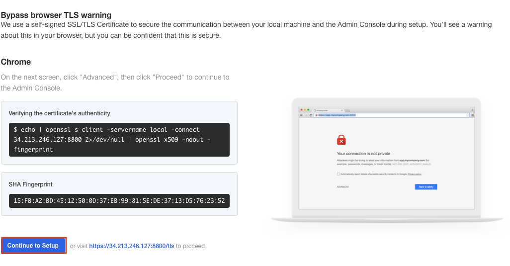The TLS warning lets you choose whether to continue with the bypass.