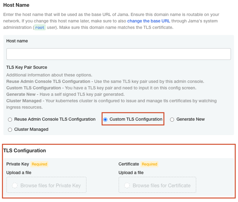 The Settings window shows that the Custom TLS Configuration option is selected and the TLS Configuration section is highlighted.